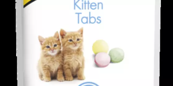 GimCat Kitten Tabs - 40g ansehen