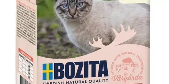 Bozita Cat Tetra Recard Häppchen in Soße Lachs 370g ansehen