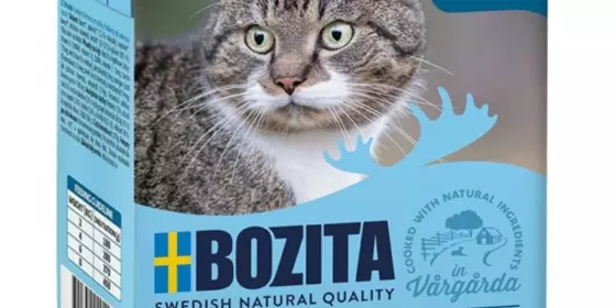 Bozita Cat Tetra Recard Häppchen in Gelee Makrele 370g ansehen