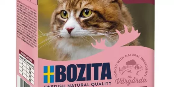 Bozita Cat Tetra Recard Häppchen in Gelee Rinderhack 370g ansehen