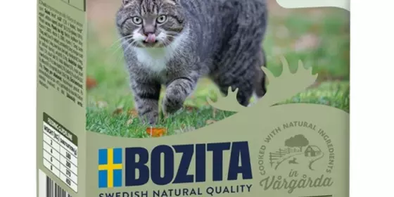 Bozita Cat Tetra Recard Häppchen in Soße Kaninchen 370g ansehen
