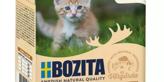 Bozita Cat Tetra Recard in Soße für Kitten 370g ansehen