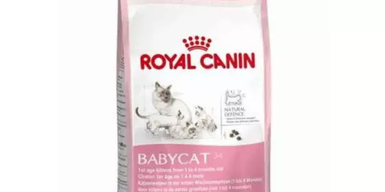 Royal Canin Babycat - 400 g ansehen