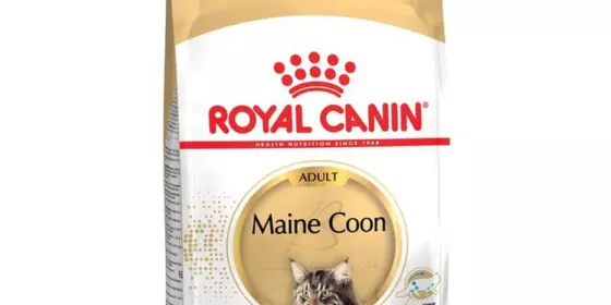 Royal Canin Maine Coon - 4 kg ansehen