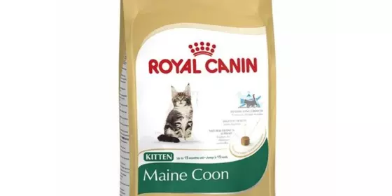 Royal Canin Feline Kitten Maine Coon 36 - 4 kg ansehen
