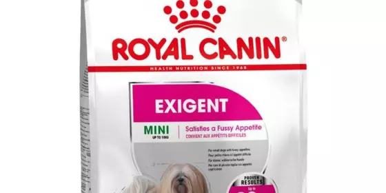 Royal Canin Exigent - 400 g ansehen