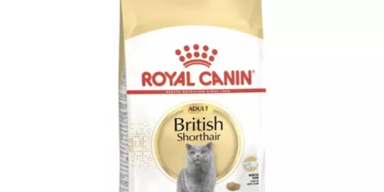 Royal Canin British Shorthair - 10 kg ansehen