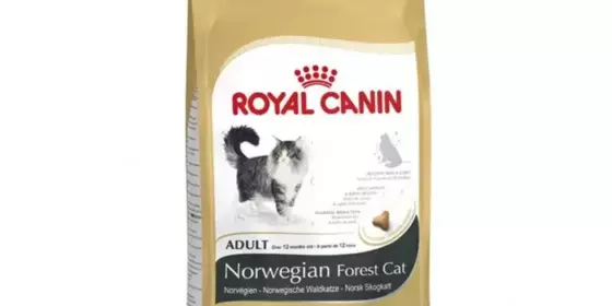 Royal Canin Feline Breed Norwegische Waldkatze - 400 g ansehen