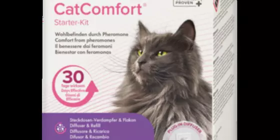 Beaphar CatComfort Starter-Kit ansehen