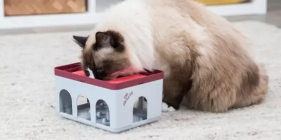 Trixie Rod Box Katzenspiel ansehen