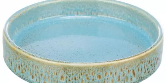 Trixie flacher Keramiknapf mit Musterung - blau ansehen