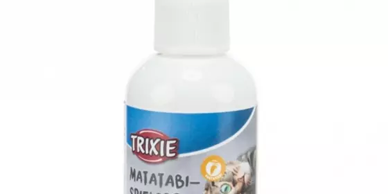 Trixie Matatabi-Spielspray - 50 ml ansehen